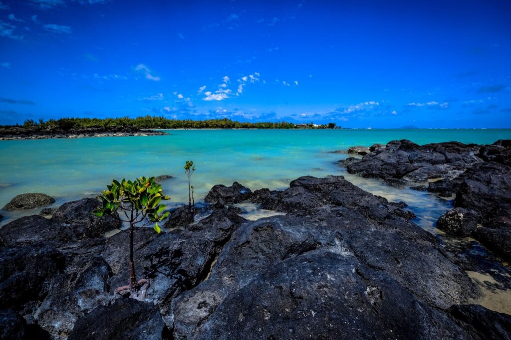 Agence de marketing digital à Chemin Grenier, île Maurice
