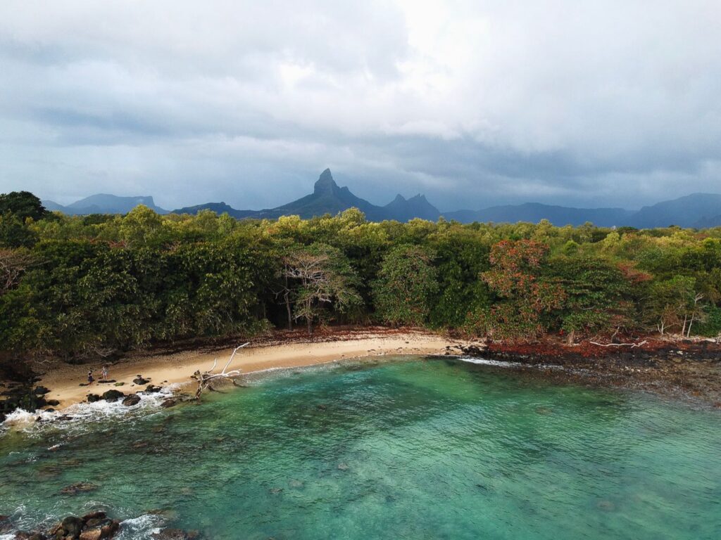 Agence de marketing digital à Rivière Noire, île Maurice