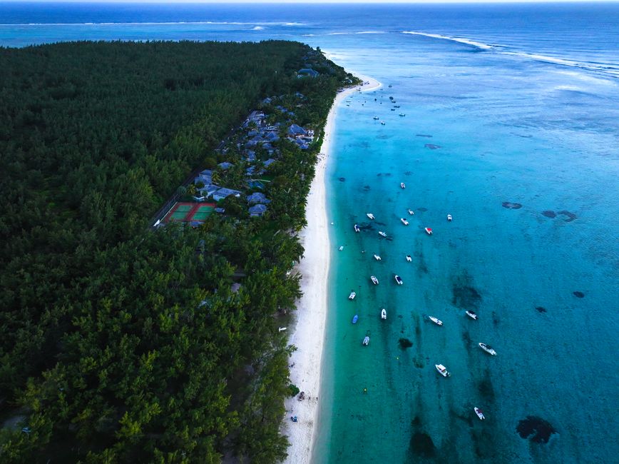 Agence de marketing digital à Terre-Rouge (île Maurice)